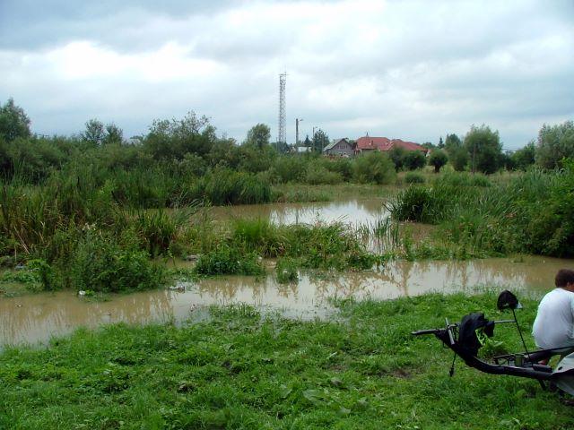 DSCF7794.JPG