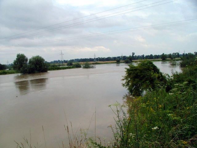DSCF7808.JPG
