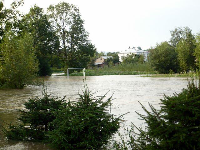 P1000953.JPG