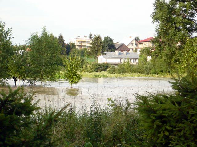 P1000954.JPG