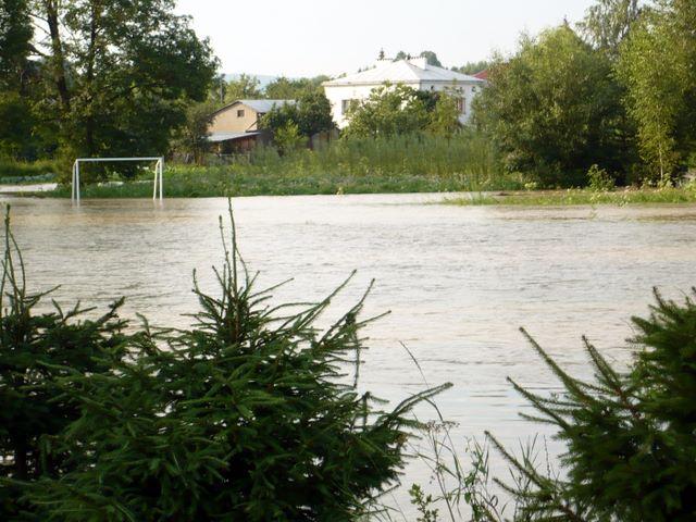 P1000955.JPG