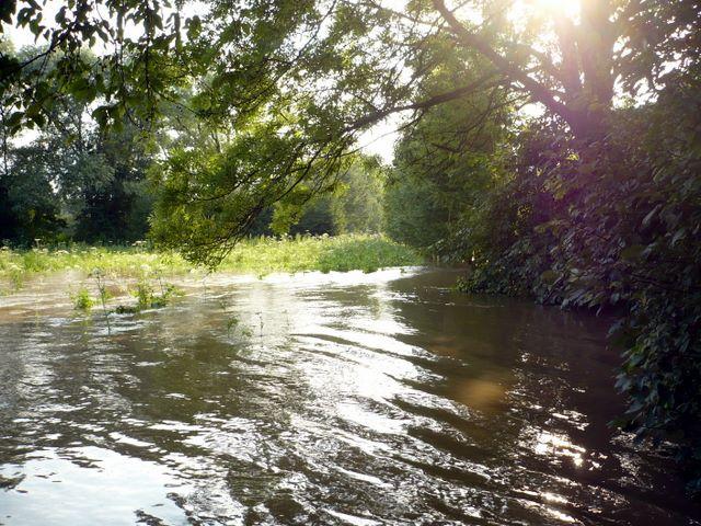 P1000956.JPG