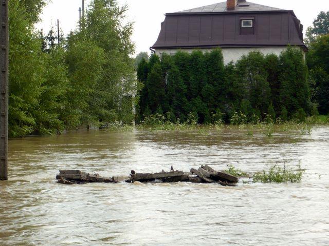 P1000960.JPG