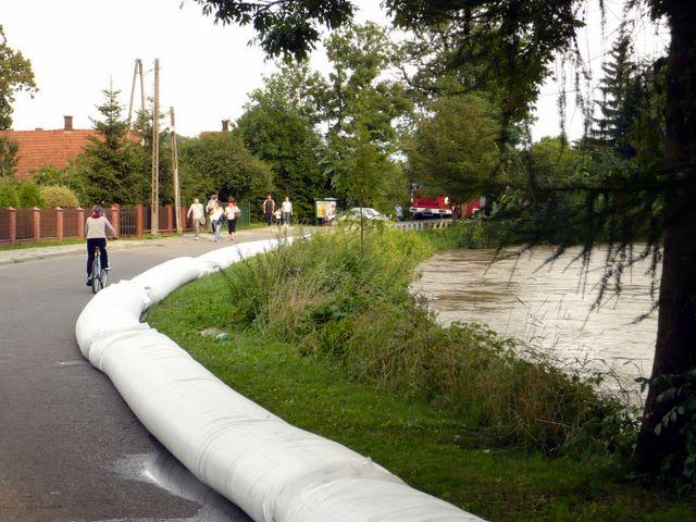 P1000964.JPG
