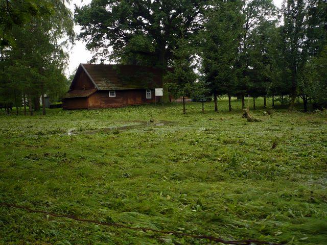 P1000991.JPG