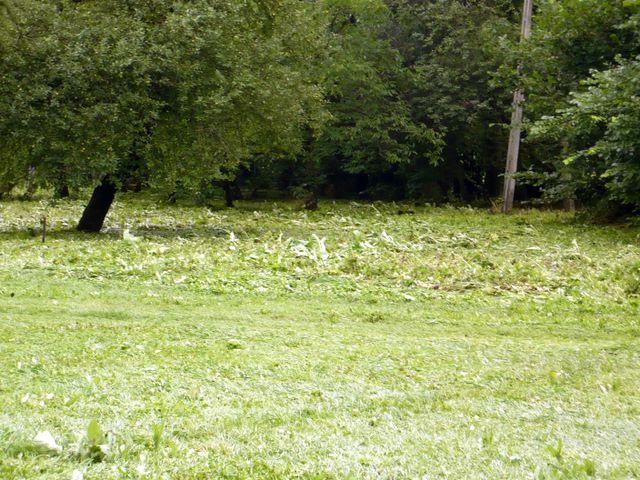 P1000995.JPG
