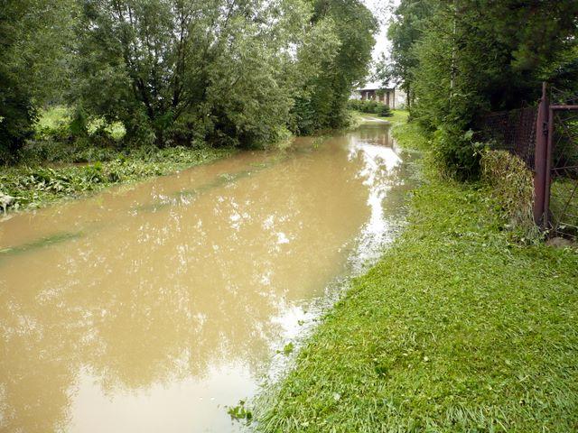 P1000996.JPG