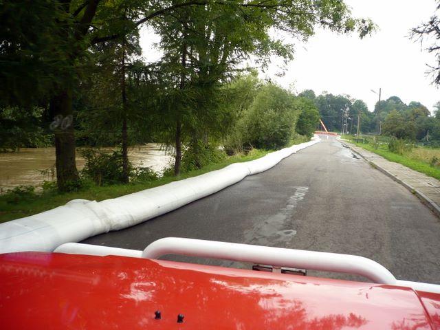 P1010003.JPG