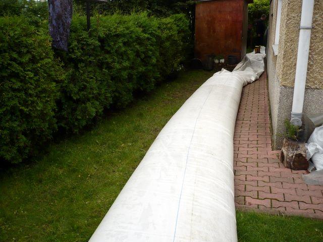 P1010007.JPG