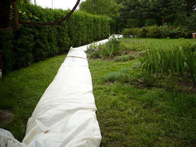 P1010009.JPG