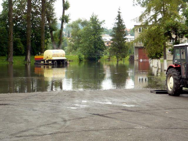 P1010013.JPG