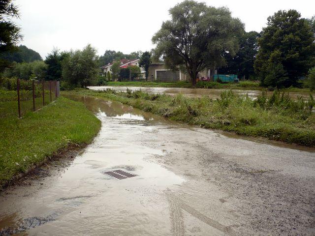 P1010021.JPG