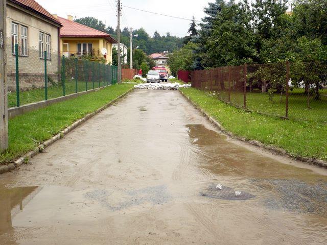 P1010022.JPG
