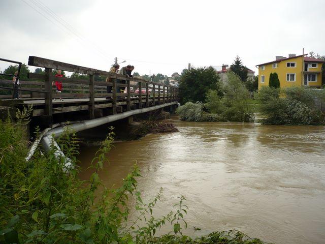 P1010028.JPG