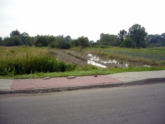 P1010035.JPG
