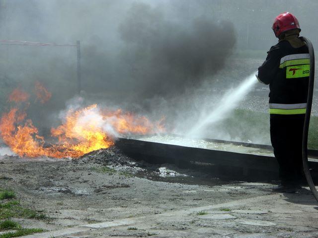 PICT8356.JPG