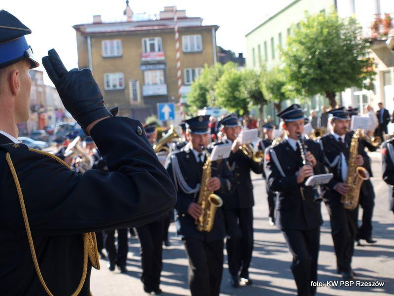 P9037515.JPG