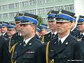 DSCF8862