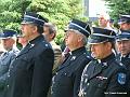 DSCF8984
